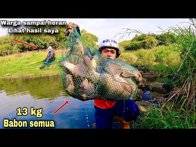 Rekor Tahun 2022 Mancing Ikan Nila Liar Dapat Babon Monster Tarikan nya Sampai Kuwalahan