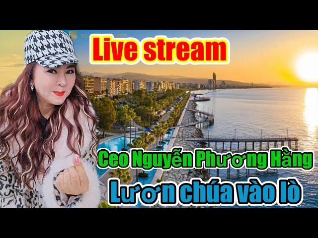 Yieng CEO NGUYỄN PHƯƠNG HẰNG LIVE STREAM TRỰC TIẾP LƯƠN CHÚA LÊN DĨA @doiluthu