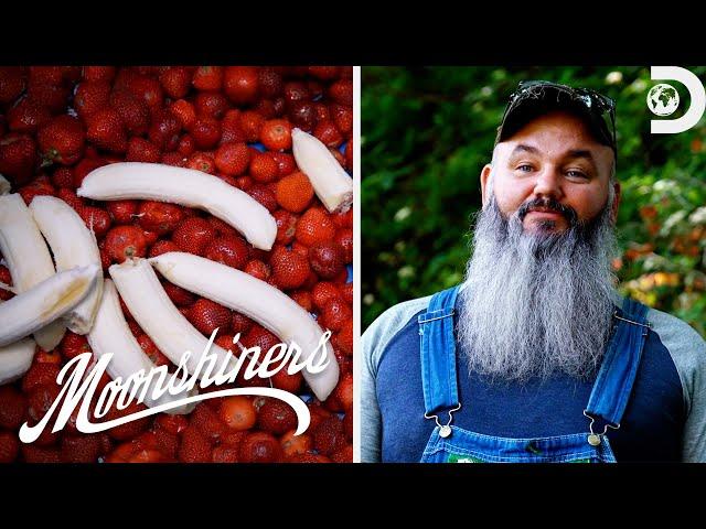 Making Strawberry-Banana Moonshine | Moonshiners | Discovery