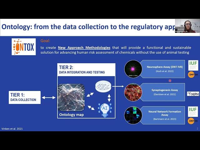 ASCCT-ESTIV Award Winners Webinar: Dr. Eliška Kuchovska & Tiago Marques Pedro (November 2024)