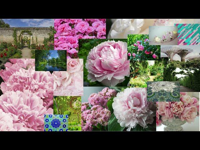 History of gardens, online garden guide, relaxation music, meditation Garten Jardin حدائق 花园 गार्डन