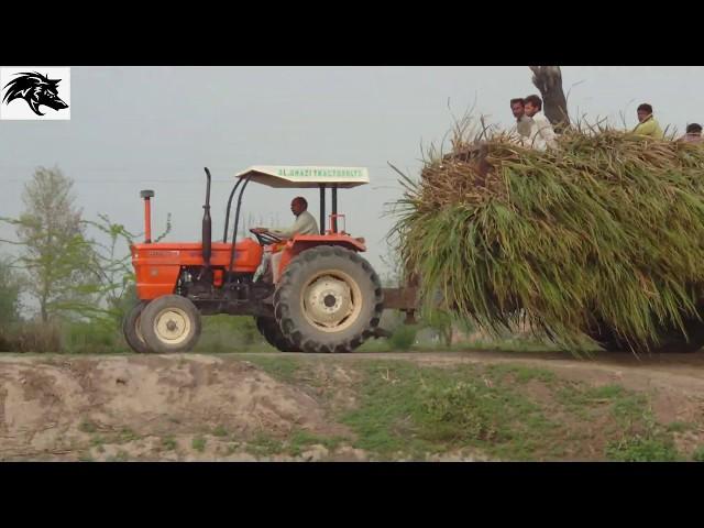 ITS MY VILLAGE PART 2 / ON THE ROAD OF JHANG GOJRA ROAG