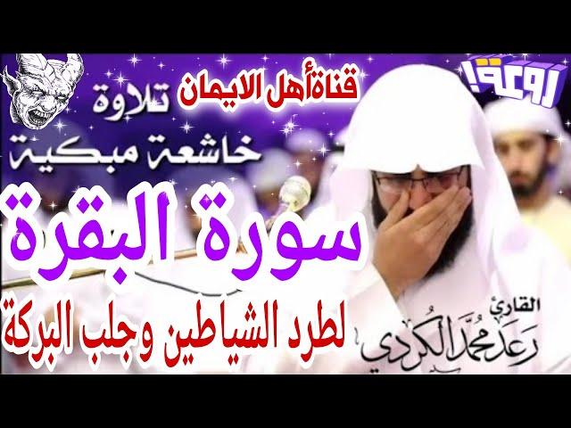 سورة البقرة كاملة مكررة لطرد الشياطين والجن والسحر والحسد وجلب الرزق الشيخ رعد الكردي surat albaqara