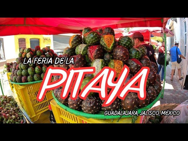 FERIA DE LA PITAYA EN LAS 9 ESQUINAS DE GUADALAJARA