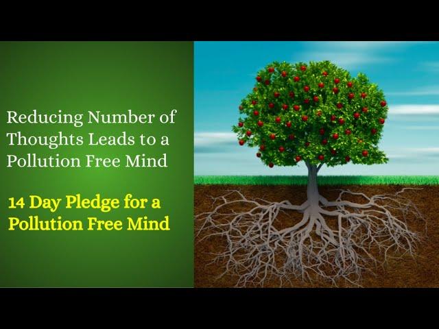 Reducing # of Thoughts - Day 1 | Live Guided Meditation
