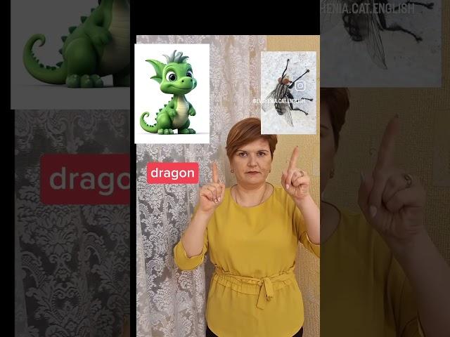 новый словарь