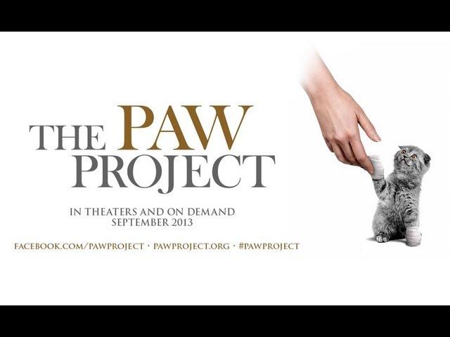 The Paw Project Movie - Official Trailer