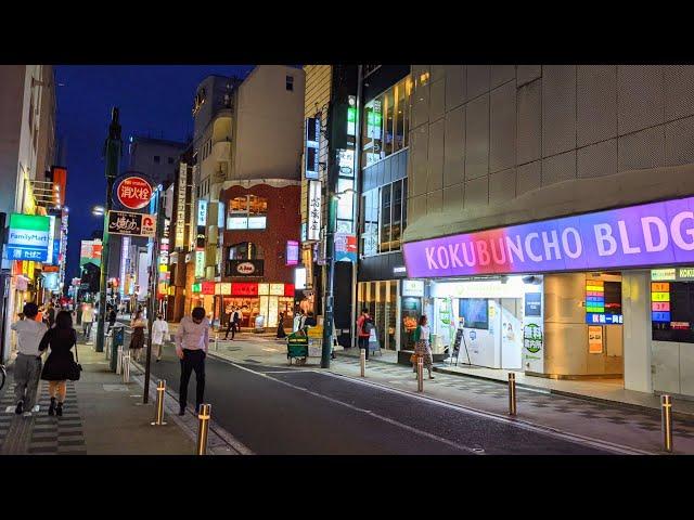 国分町 仙台｜東北地方最大の歓楽街散策【4K】