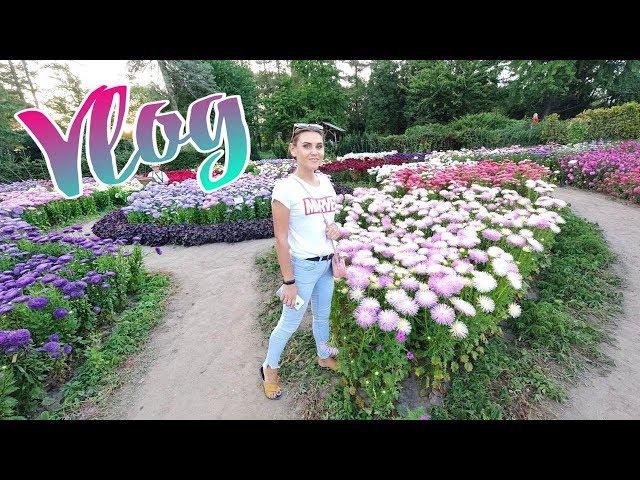 Vlog: АВГУСТ.