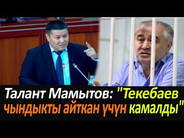 Талант Мамытов: "Текебаев чындыкты айткан үчүн камалды"