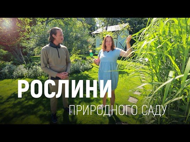 ЛАНДШАФТНИЙ ДИЗАЙН | СТВОРЮЄМО ПРИРОДНІЙ САД ВЛАСНОРУЧ