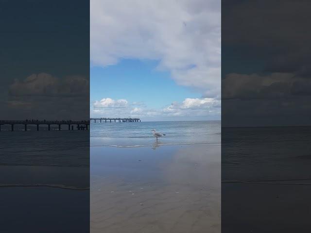 #beach #ostsee #deutschland #travel #holiday #september #sea #rügen #capturingmoments #recharge