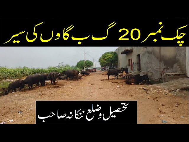 Chak 20 GB Village Tour  Tehsil and District Nankana || Pakistan Village Life || Punjab Village Life