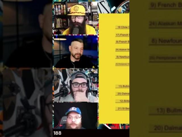 Beard Laws Show Is For Adults