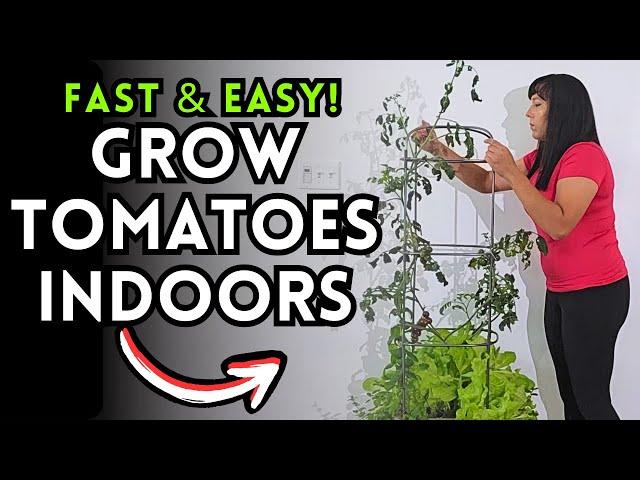 How to Grow Cherry Tomatoes Indoors: Easy Steps with Vego Garden Self-Watering Tomato Planter