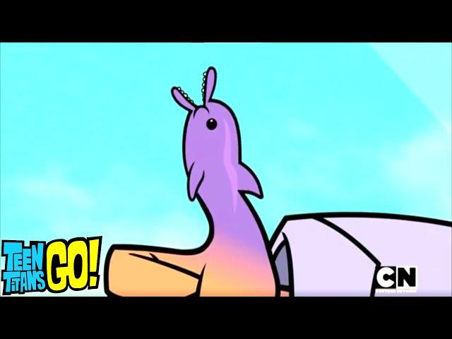 The Dolphin Of The Hand | Teen Titans GO! | Thumb WAR