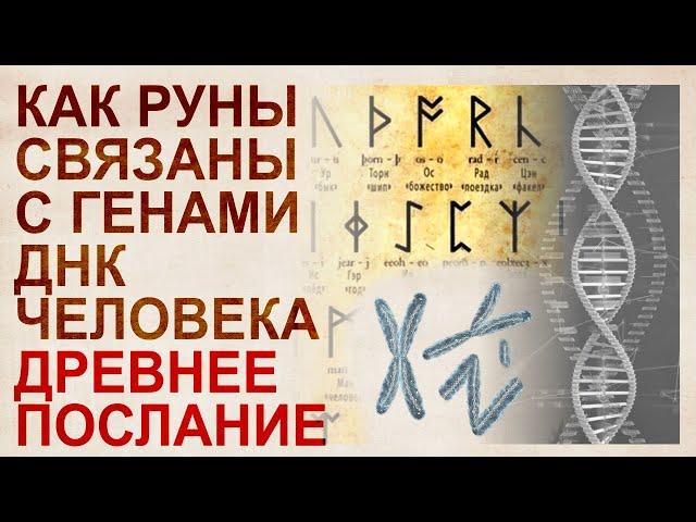 Runes: ABC of DNA