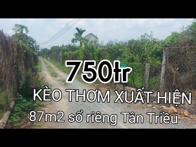 ĐẤT NỀN NGAY KHU SINH THÁI LÀNG BƯỞI TÂN TRIỀU CHỈ 750TR