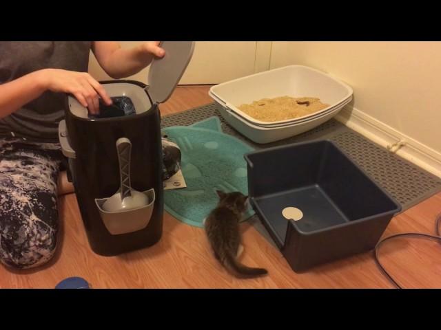 How to Use a Litter Genie! How to Set Up a Litter Box for Tiny Kittens!