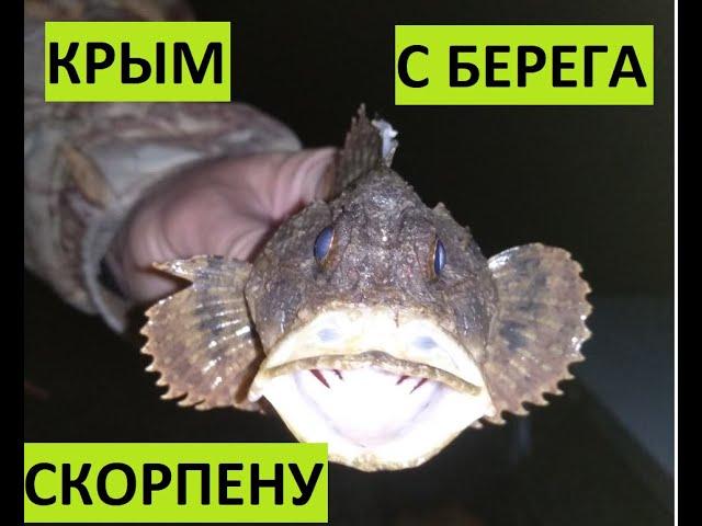 Крым. Ночная рыбалка с берега на скорпену (морского ерша)