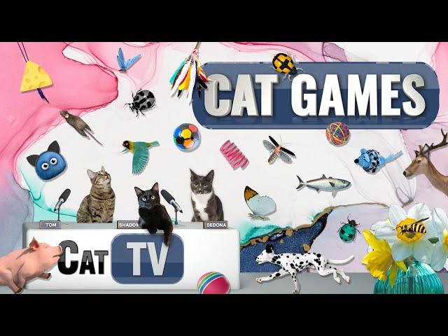 CAT Games | Ultimate Cat TV Compilation Vol 49 | 2 HOURS 