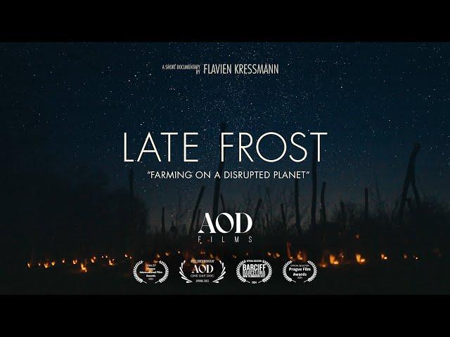 Late Frost - Short Documentary Filmed in One Day