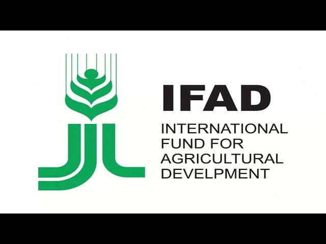 Understanding IFAD  A Comprehensive Guide to the International Fund for Agricultural Development