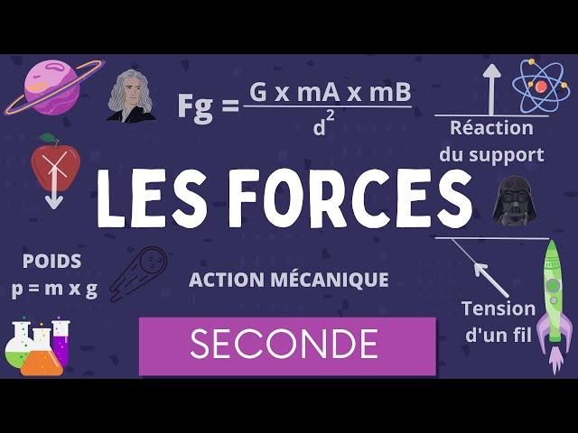 Les Forces / Interaction gravitationnelle Poids Action Réaction / Physique Chimie Seconde