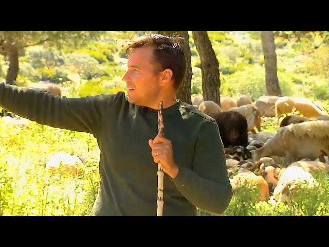 Los pastores reivindican el valor de sus rebaños como arma para la prevención de incendios