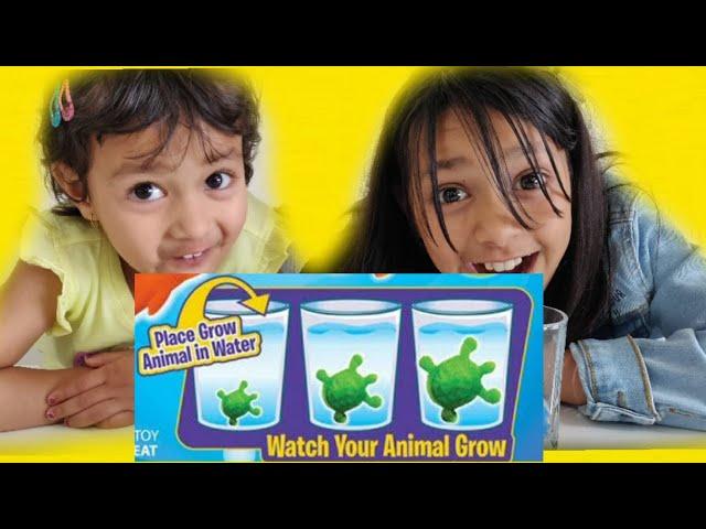 Animals grow in water - Vlog 32 | Kids experiments with Magic grow capsules