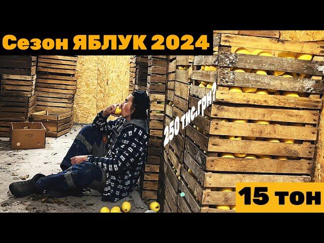 САД 2024: Скільки заробили? Ми мільйонери? Не лізь, ВБ'Є