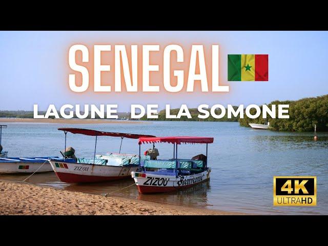 Sénégal - Lagune de la Somone - 4K UHD