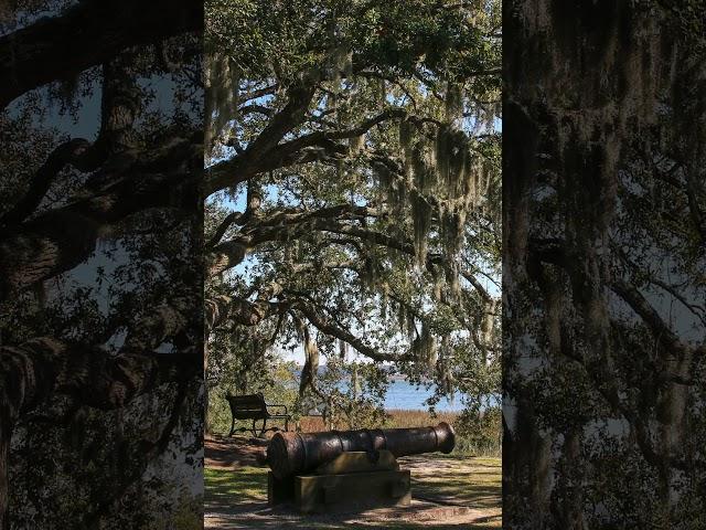 Beaufort's Elliott Park: Where Revolutionary Cannons Meet Confederate History