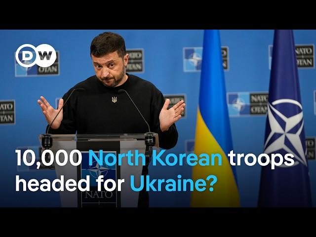 Zelenskyy: North Korean troop support for Russia could spark 'world war' | DW News