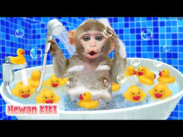 Bayi Monyet KiKi mandi di toilet dengan bebek dan pergi | Kartun Monyet Lucu | Hewan KIKI Channel