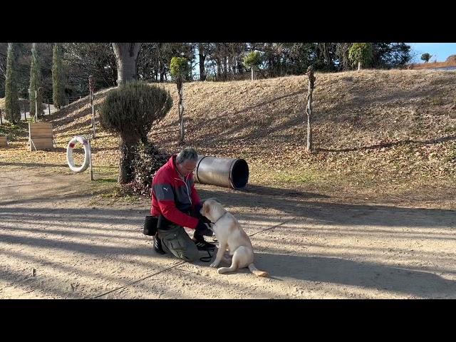 バルド訓練の様子