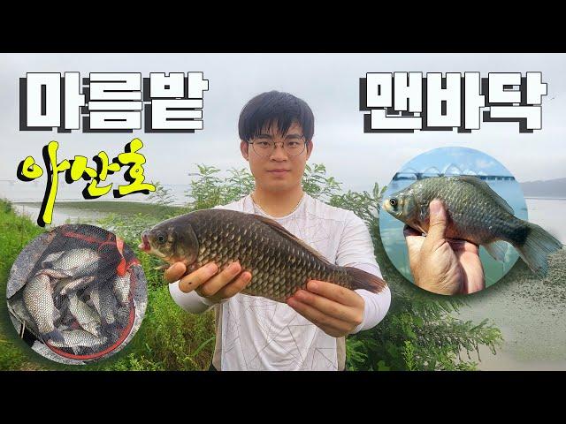 붕어낚시, 아산호 구성리 맨바닥권, 창용리 마름밭 Crucian carp fishing