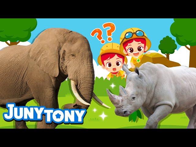 The Biggest Land Animals | Elephant vs. Rhino | Animal Songs for Kids | Nursery Rhymes | JunyTony