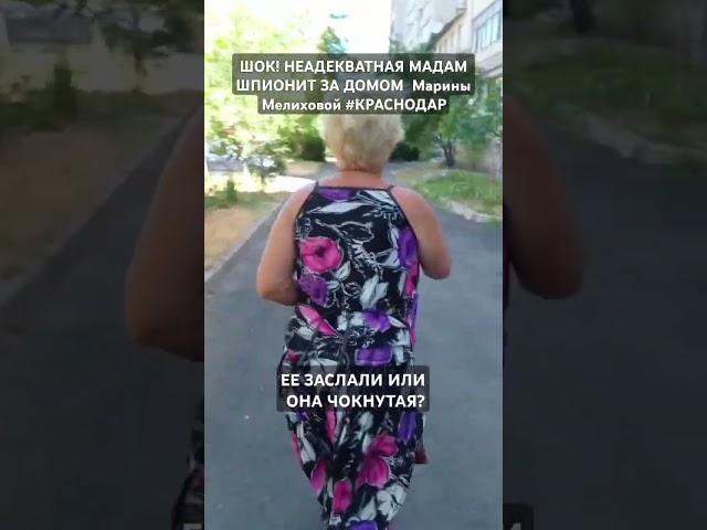 #КРАСНОДАР #РАЗОБЛАЧИЛИ #МАДАМ #ШПИОНИТ ЗА #ДОМОМ #БЛОГЕРА #Марина #Мелиховой 24.06.24