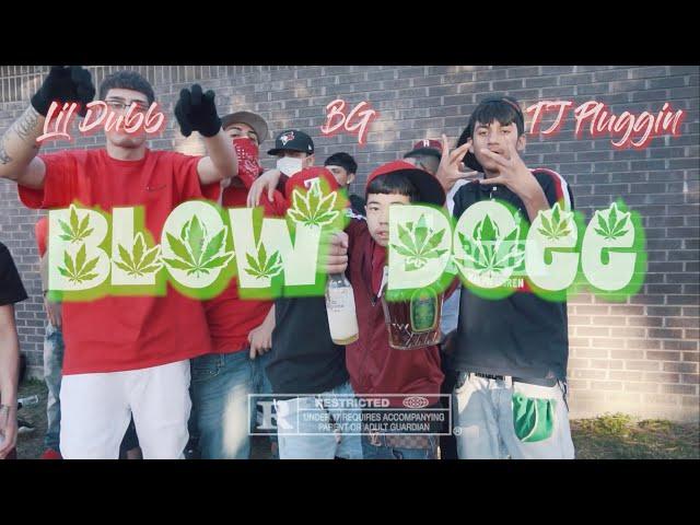 BLOW DOEE - LIL DUBB ( FEAT - BG , TJ PLUGGIN )