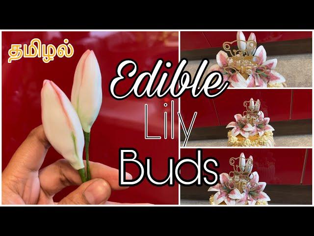 Fondant lily buds in Tamil | Gumpaste lily flowers part 1 | Fondant icing flowers | sugar flower