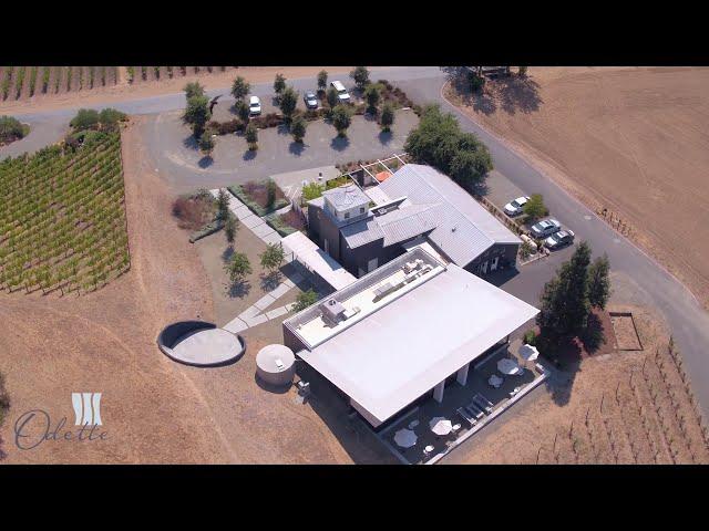 Odette Estate Winery Tour