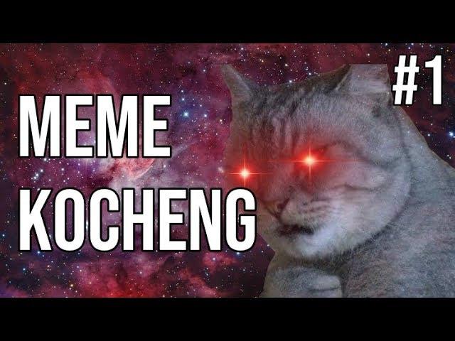 Kocheng Oren Bar Bar! MEME KUCING #1