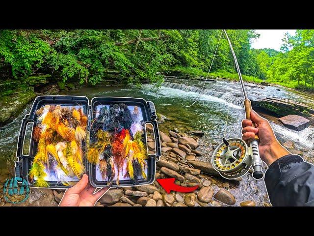 How to Streamer Fish for Trout || Fly Fishing for Beginners!