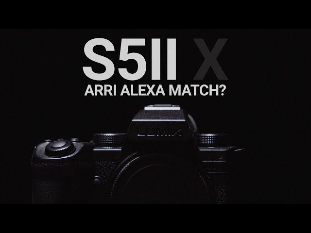 Realtime LUT on the Lumix S5IIX to match an Arri Alexa Mini!