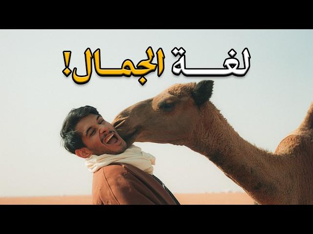 لغة الجمال في السعودية  #أول_مرة_أشوف