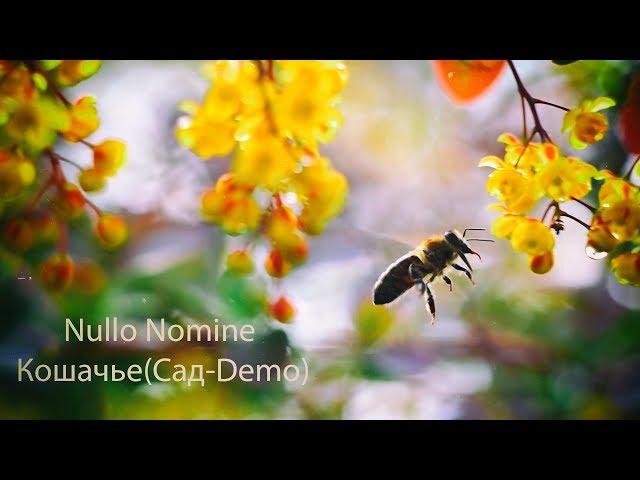 Nullo Nomine  Кошачье(Сад-Demo)
