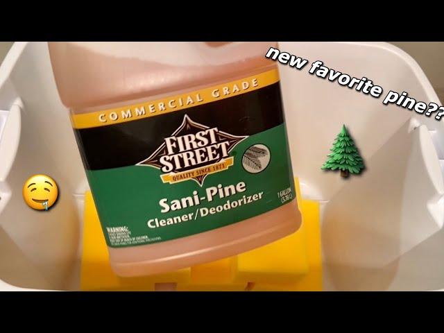 SUPER STRONG PINE PLAY!  Sani-Pine Full Jug  {Sponge ASMR}