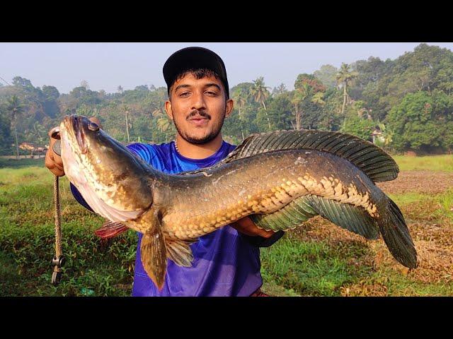 DECATHLON ഇൽ ഇത്രയും നല്ല ചൂണ്ട ഉണ്ടായിരുന്നോ... | Decathlon WXM 100 Rod & Reel | Fishing Videos |