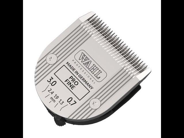 WAHL 5-in-1 Clipper Blades: How to Disengage, Engage & Sharpen Better Than New!